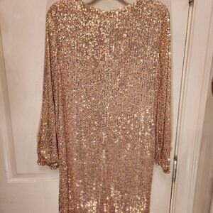 Preston & York Rosa sequin shift dress. New with tags.